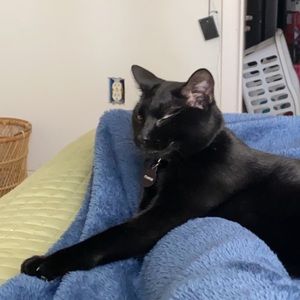 Meet your Posher, Adriana